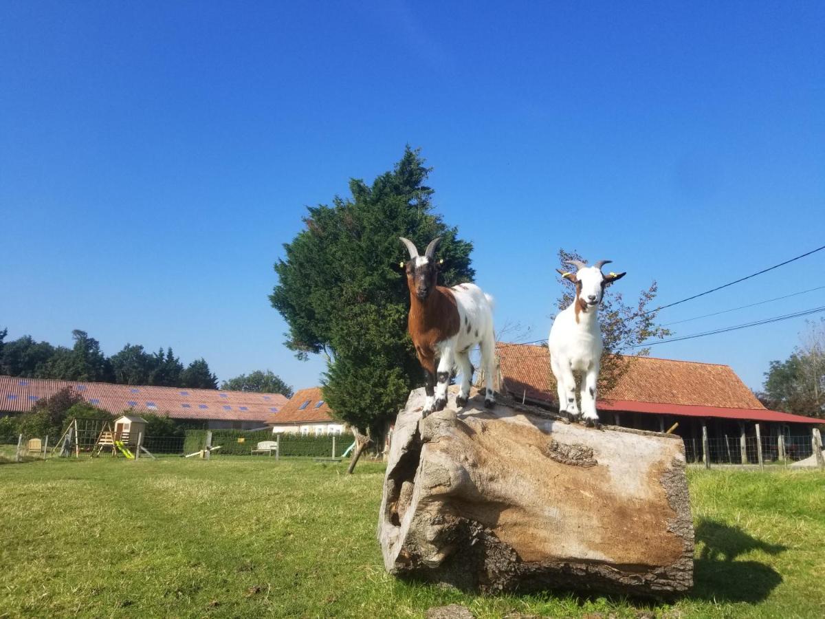 Les Coquelicots Villa Lacres Buitenkant foto